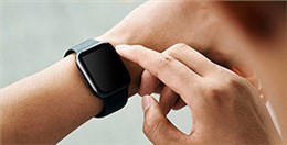 EPT電池品質(zhì)高，鎳氫和鋰電都表現(xiàn)不俗